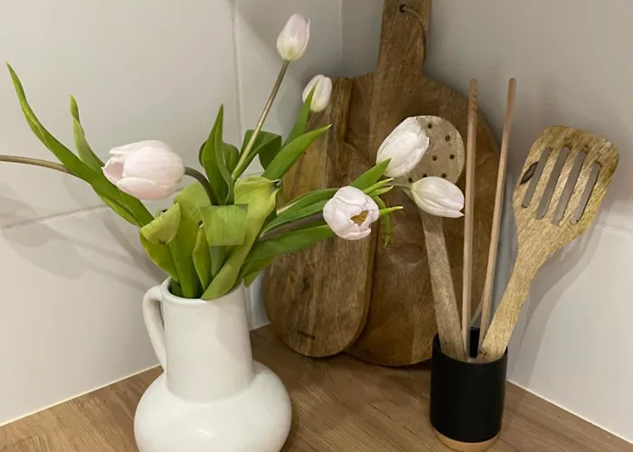 Apartamento Urban Nest *