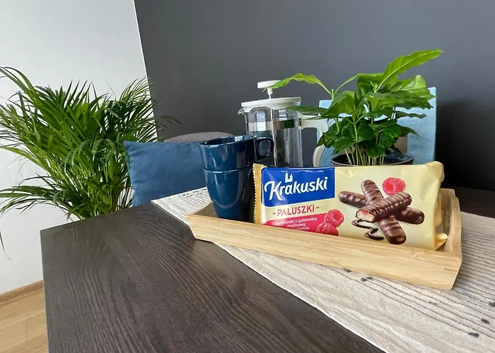 Urban Nest * Krakkó